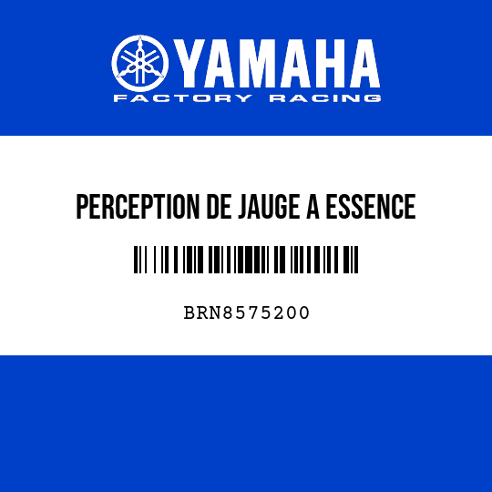 PERCEPTION DE JAUGE A ESSENCE