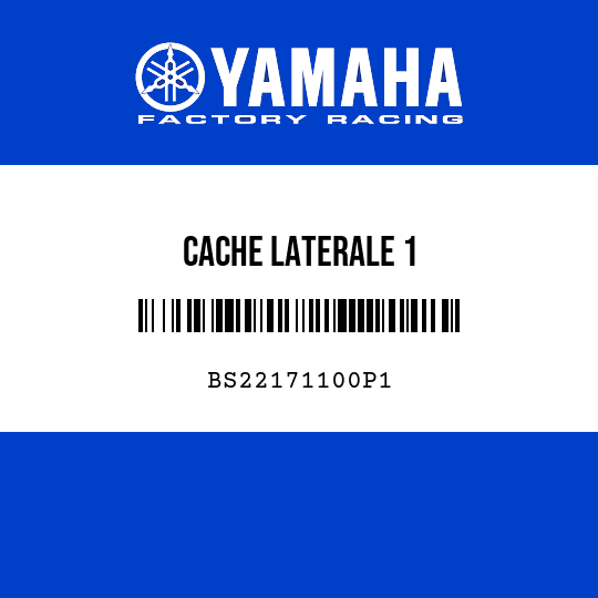 CACHE LATERALE 1