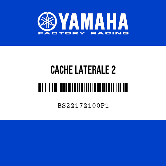 CACHE LATERALE 2