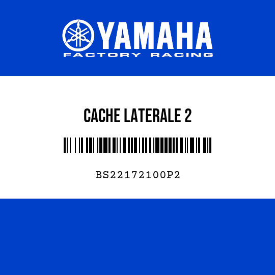 CACHE LATERALE 2
