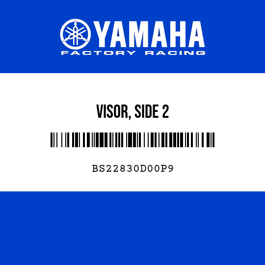 VISOR, SIDE 2