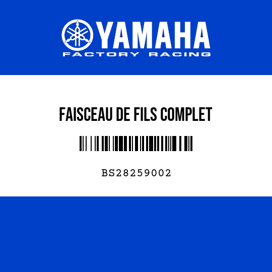 FAISCEAU DE FILS COMPLET