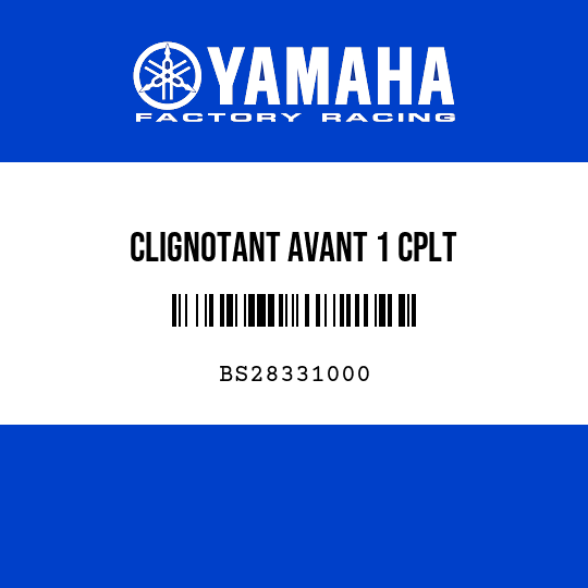 CLIGNOTANT AVANT 1 CPLT