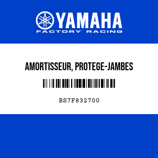 AMORTISSEUR, PROTEGE-JAMBES