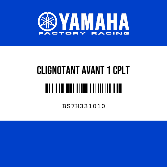 CLIGNOTANT AVANT 1 CPLT