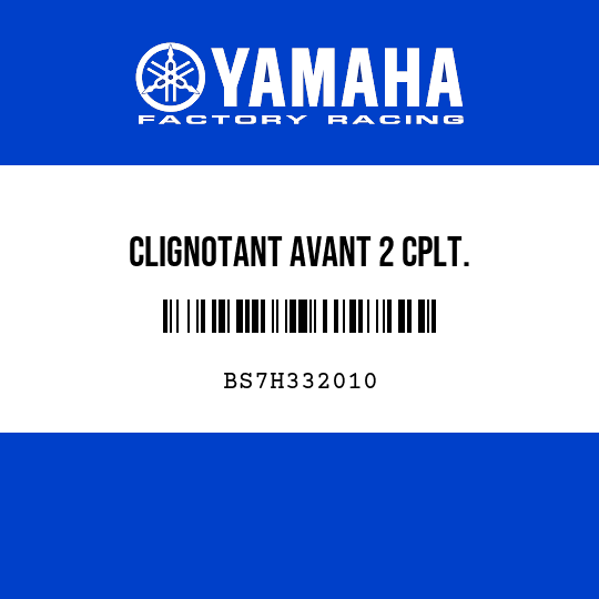 CLIGNOTANT AVANT 2 CPLT.