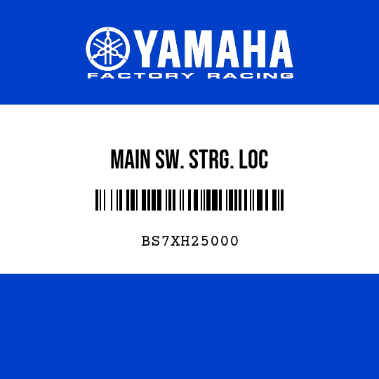 MAIN SW. STRG. LOC