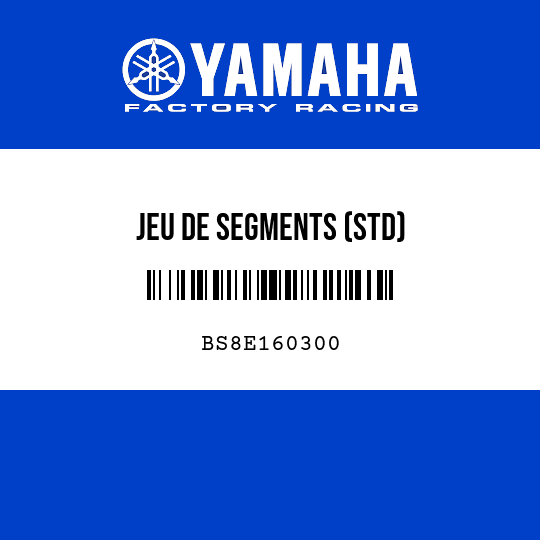 JEU DE SEGMENTS (STD)