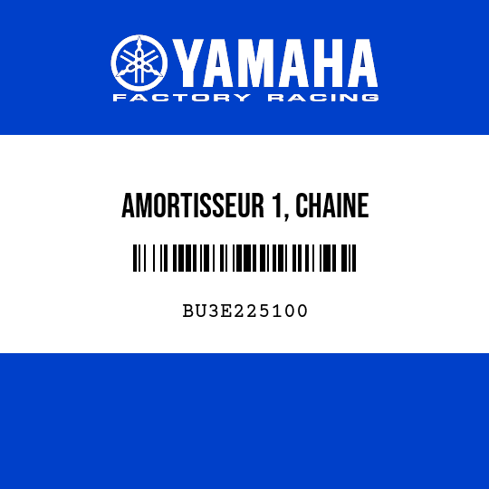 AMORTISSEUR 1, CHAINE