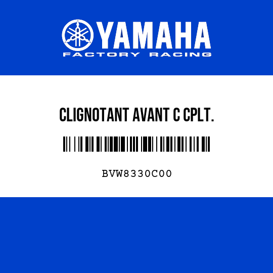 CLIGNOTANT AVANT C CPLT.