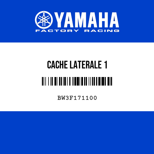 CACHE LATERALE 1