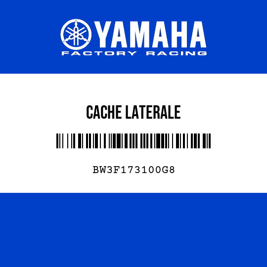 CACHE LATERALE