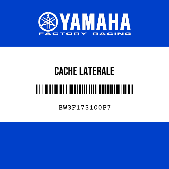 CACHE LATERALE
