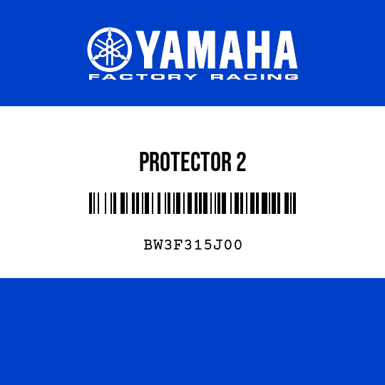 PROTECTOR 2