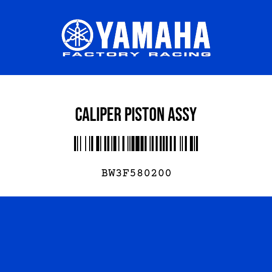 CALIPER PISTON ASSY