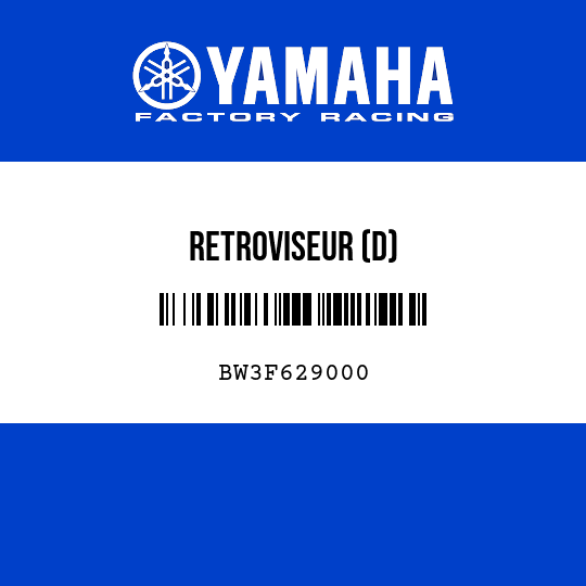 RETROVISEUR (D)