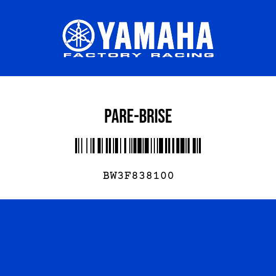 PARE-BRISE
