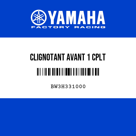 CLIGNOTANT AVANT 1 CPLT