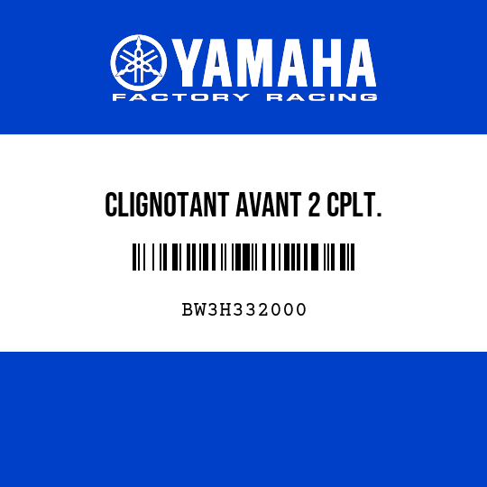 CLIGNOTANT AVANT 2 CPLT.