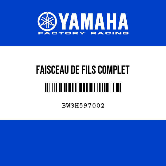 FAISCEAU DE FILS COMPLET