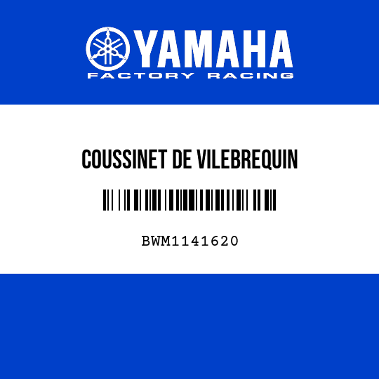 COUSSINET DE VILEBREQUIN