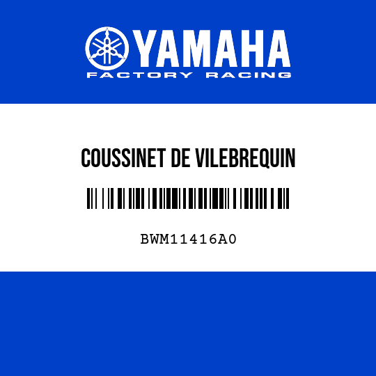 COUSSINET DE VILEBREQUIN