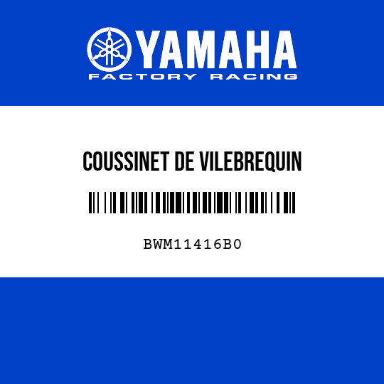 COUSSINET DE VILEBREQUIN