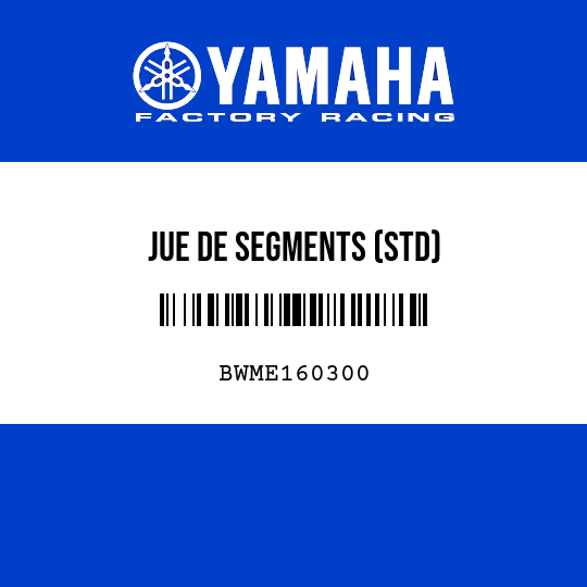 JUE DE SEGMENTS (STD)