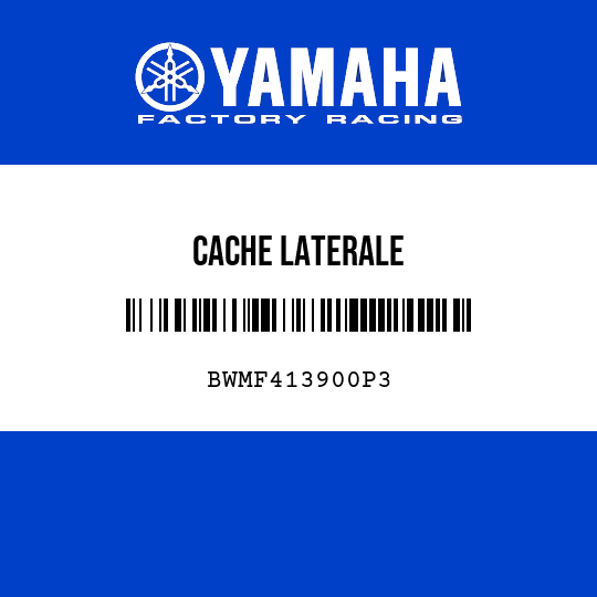 CACHE LATERALE