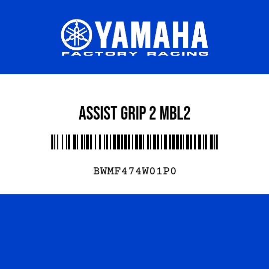 ASSIST GRIP 2 MBL2
