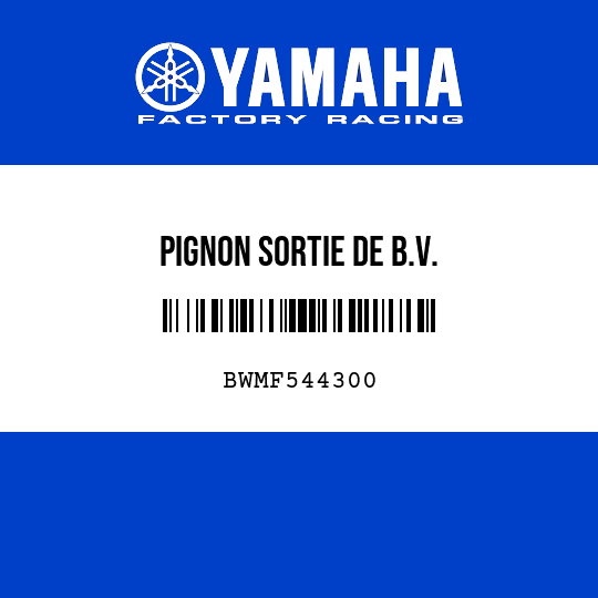 PIGNON SORTIE DE B.V.