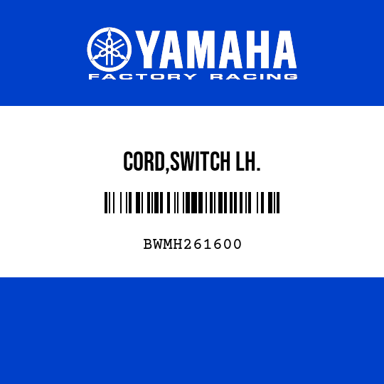 CORD,SWITCH LH.