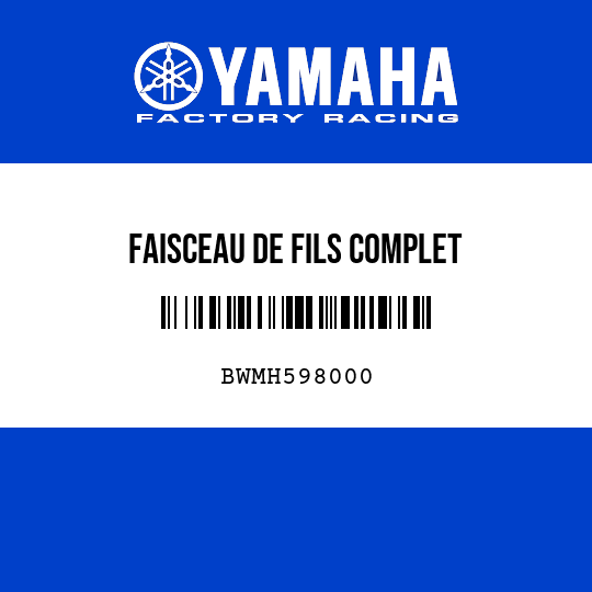 FAISCEAU DE FILS COMPLET