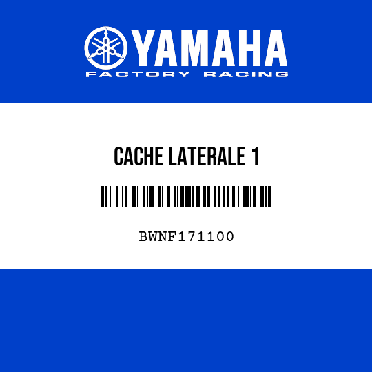 CACHE LATERALE 1