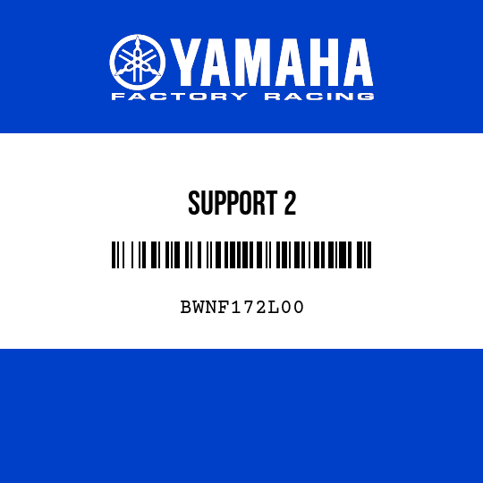 SUPPORT 2