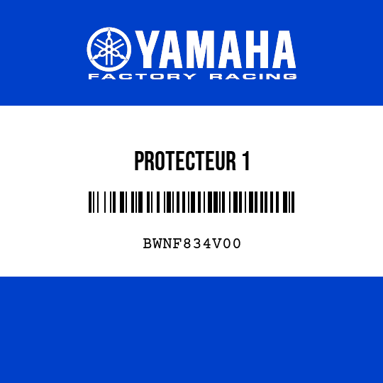 PROTECTEUR 1