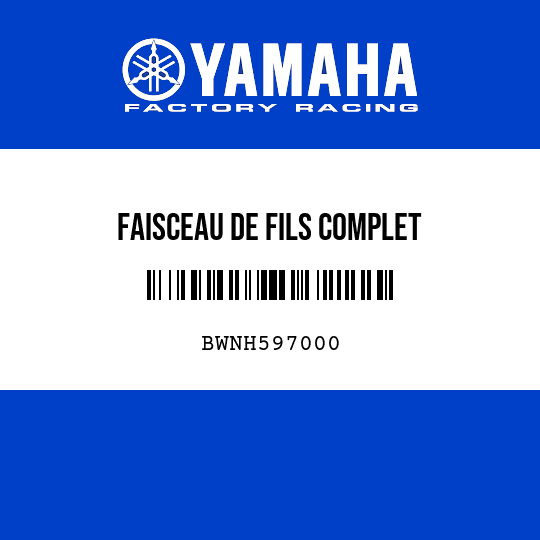 FAISCEAU DE FILS COMPLET