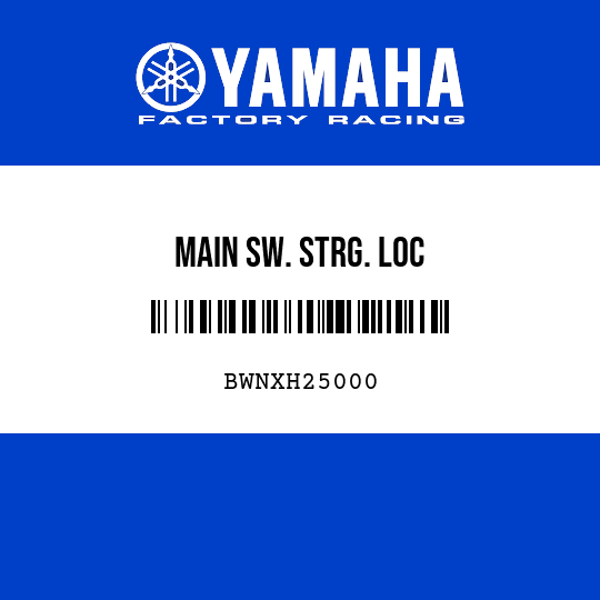 MAIN SW. STRG. LOC