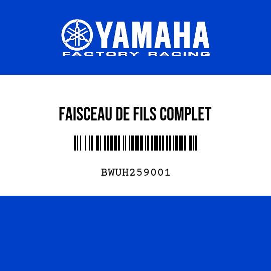 FAISCEAU DE FILS COMPLET