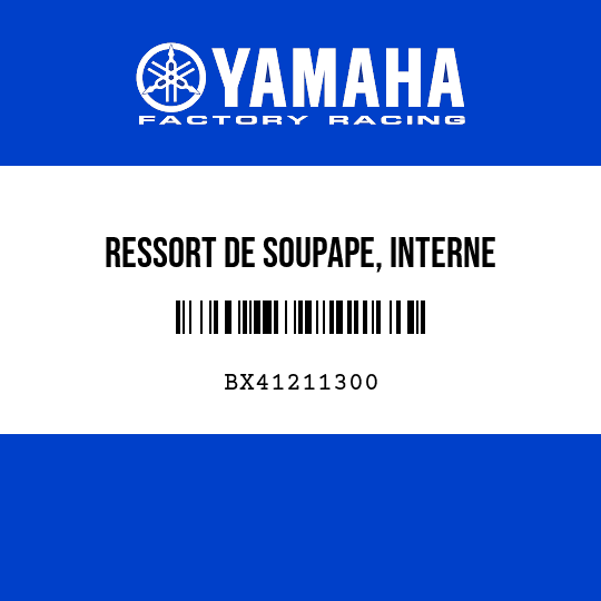 RESSORT DE SOUPAPE, INTERNE