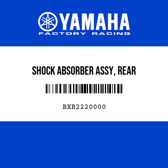 SHOCK ABSORBER ASSY, REAR
