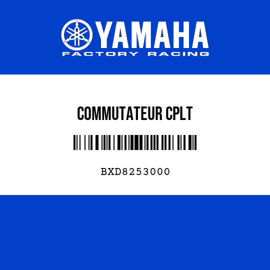 COMMUTATEUR CPLT
