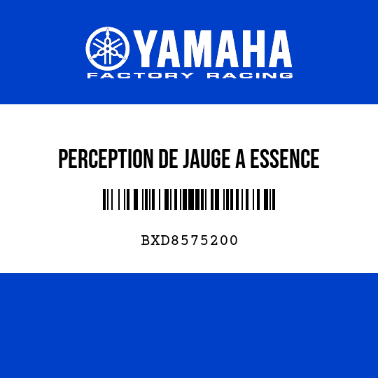 PERCEPTION DE JAUGE A ESSENCE