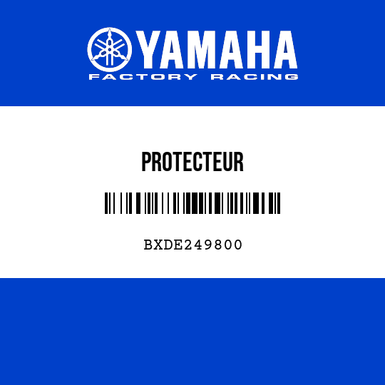 PROTECTEUR