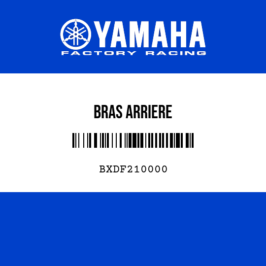 BRAS ARRIERE