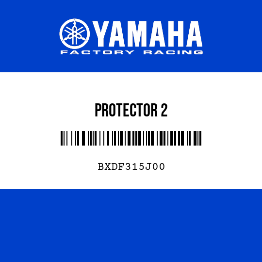 PROTECTOR 2
