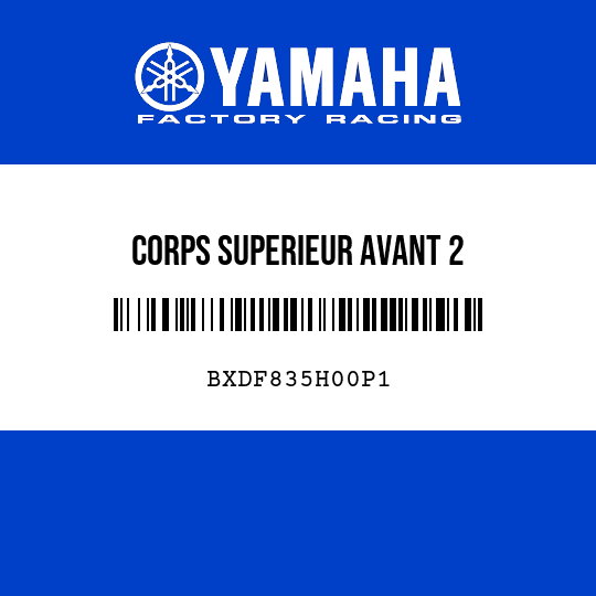 CORPS SUPERIEUR AVANT 2