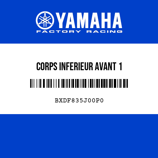 CORPS INFERIEUR AVANT 1