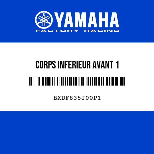 CORPS INFERIEUR AVANT 1