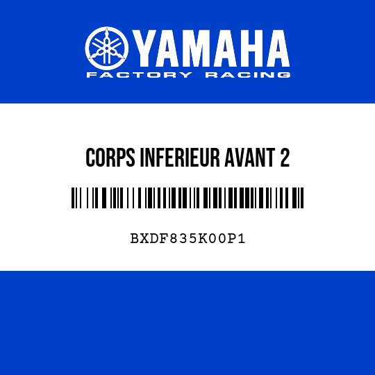 CORPS INFERIEUR AVANT 2